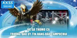 Đá Gà Thomo C6 - Trường Đấu Uy Tín Hàng Đầu Campuchia