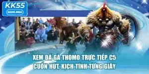 Xem Đá Gà Thomo Trực Tiếp C5 Cuốn Hút, Kịch Tính Từng Giây